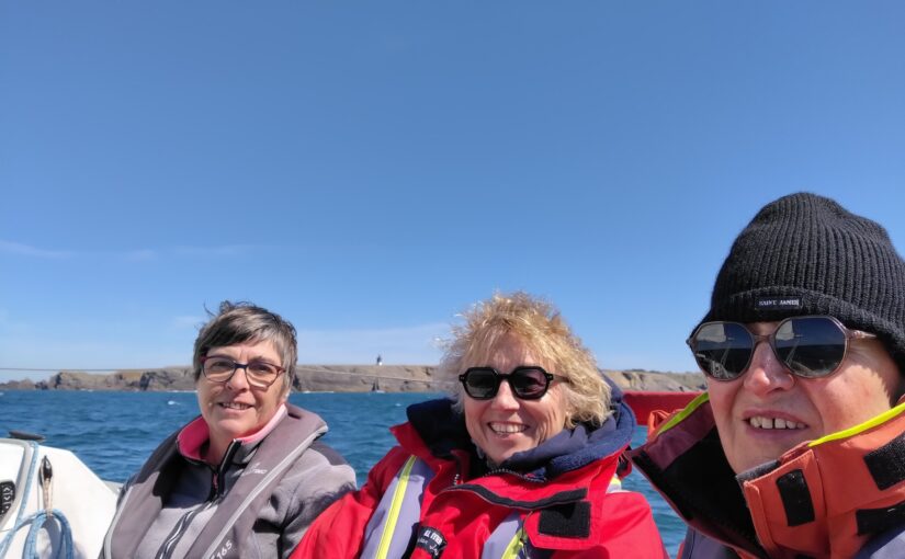 Des guillemots, des dauphins et un fou de Bassan