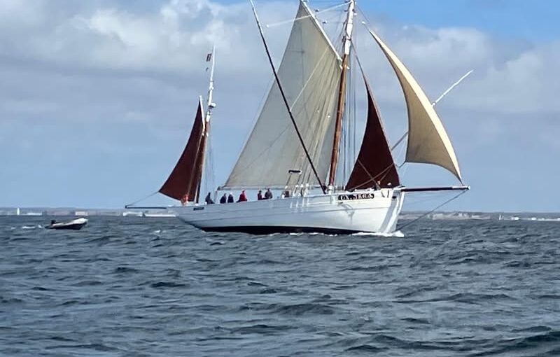 Un vrai festival